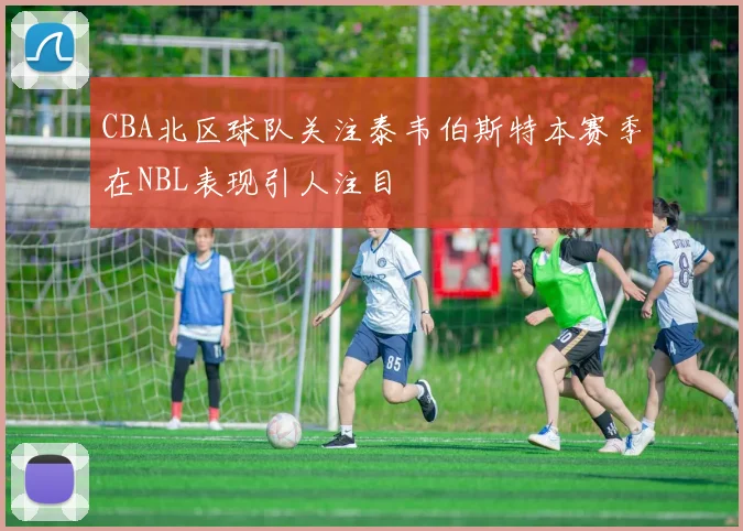 CBA北区球队关注泰韦伯斯特本赛季在NBL表现引人注目